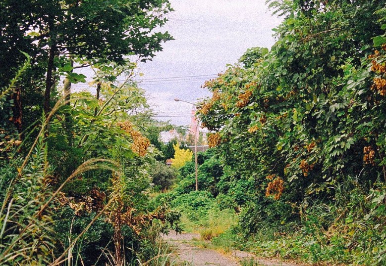 UNADJUSTEDNONRAW_thumb_47d