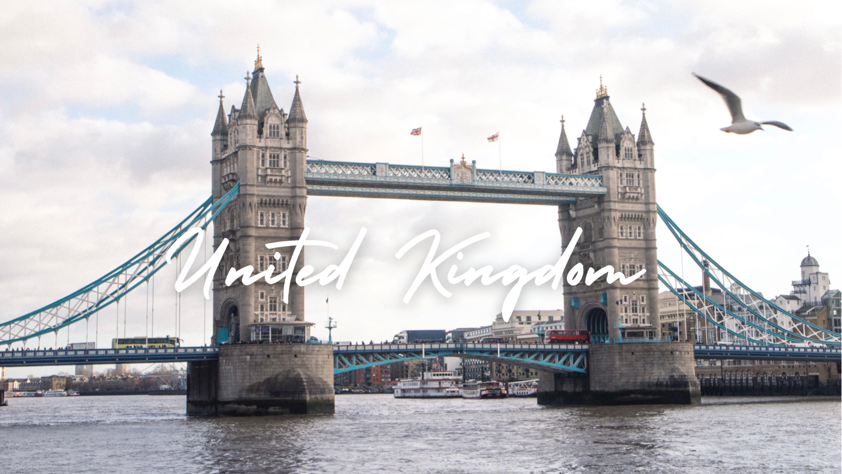 1233D82A-37EC-43BC-BBE7-977B52B56C24