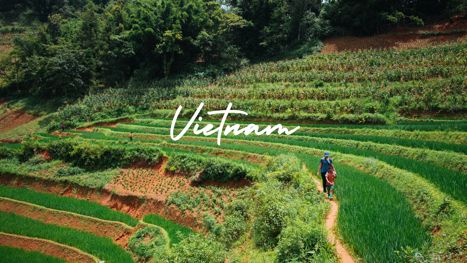 5FB9639F-5FFF-4291-97E6-FB6F80AED044