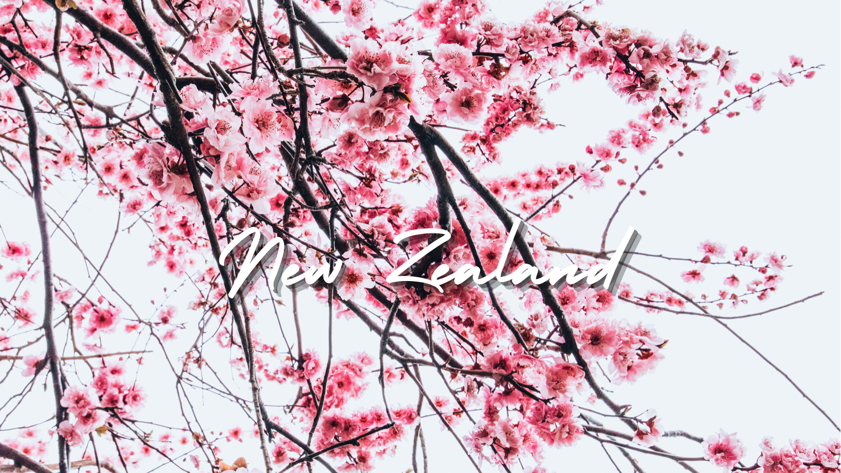 9263FB50-B9E0-4F40-8C61-76C4823B08FC