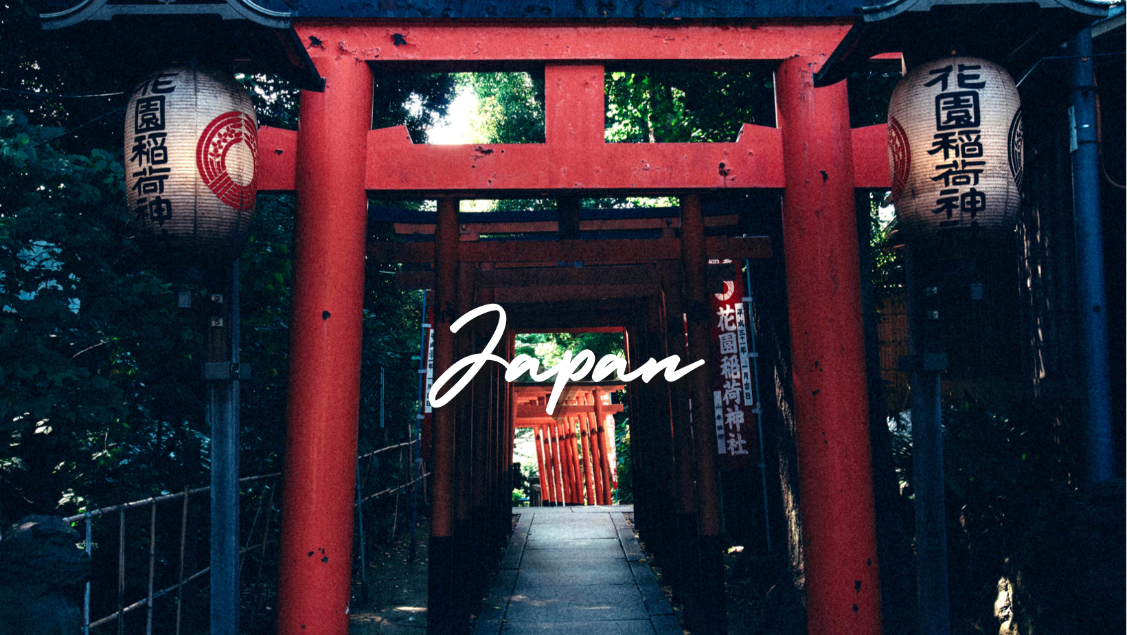 FCF704C3-9E1D-49AB-AB48-526B65323A20